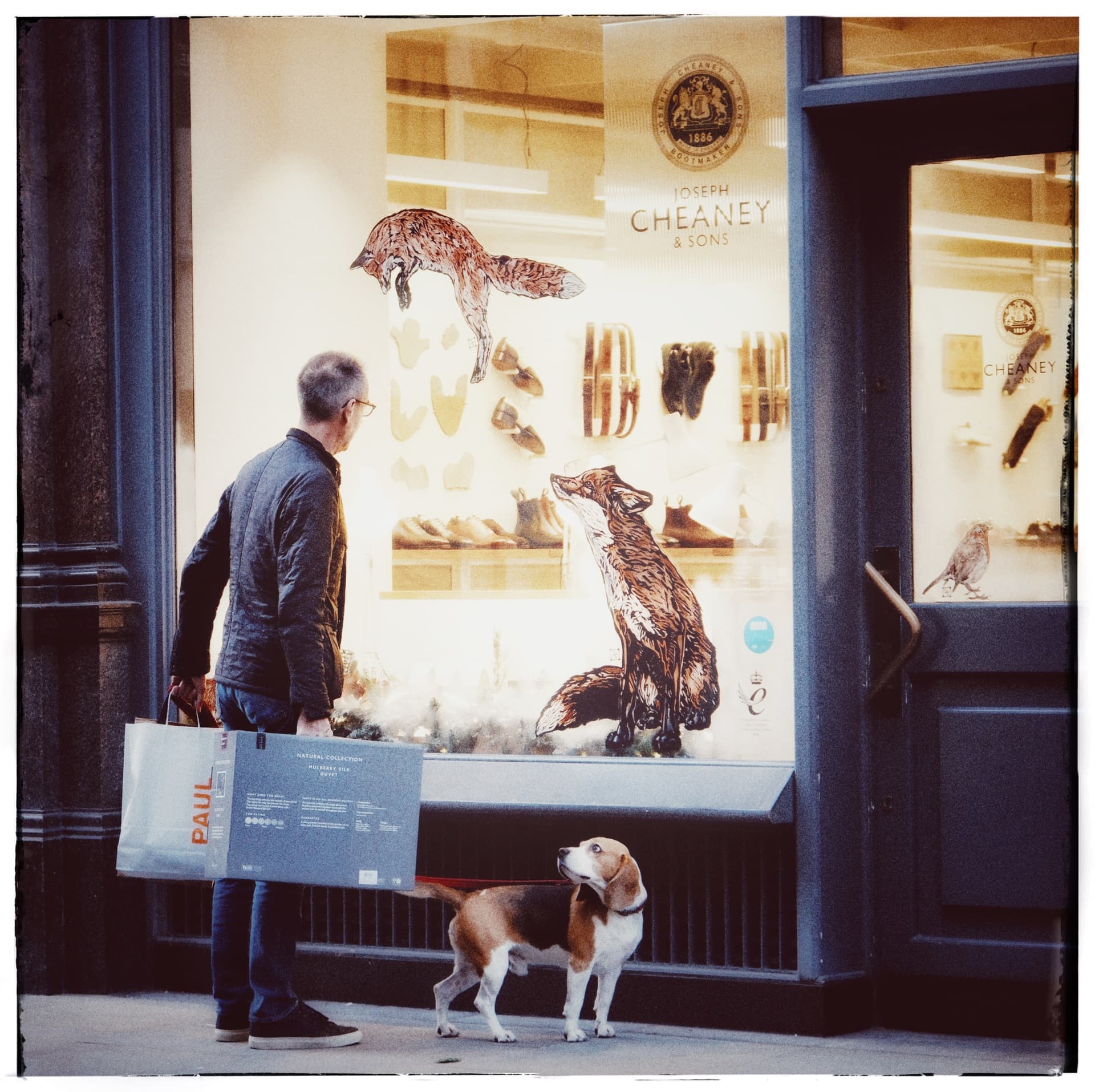 humanity as art - Image 9